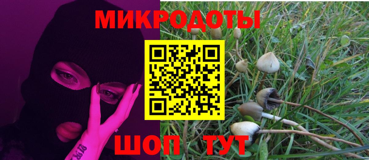Псилоцибиновые грибы Psilocybe  Вход с VPN  Учалы 